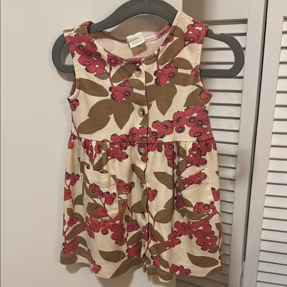 Kate Quinn Front Button Toddler Dress